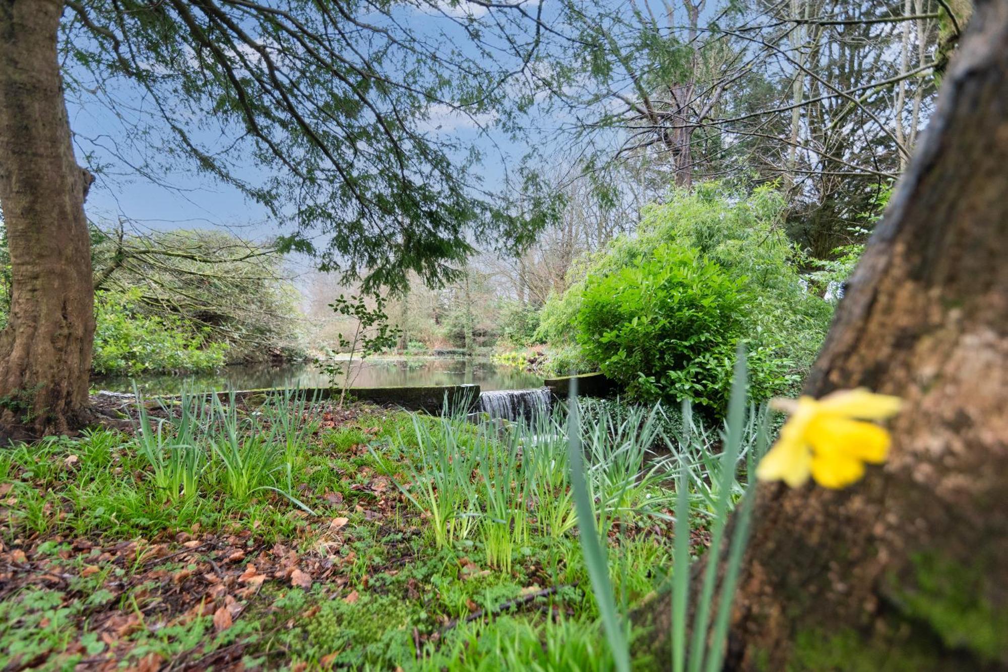 Goytre Hall Abergavenny Ngoại thất bức ảnh